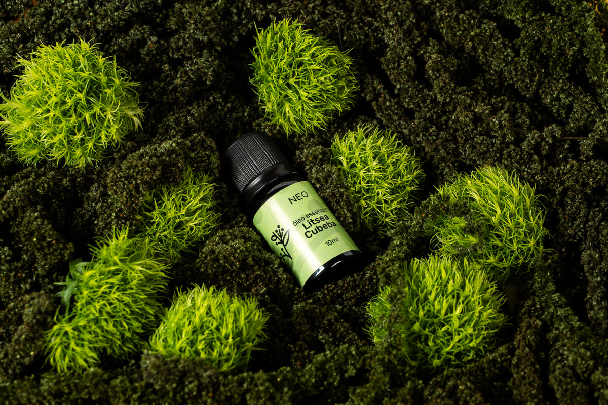 Óleo de Litsea Cubeba - 10ml