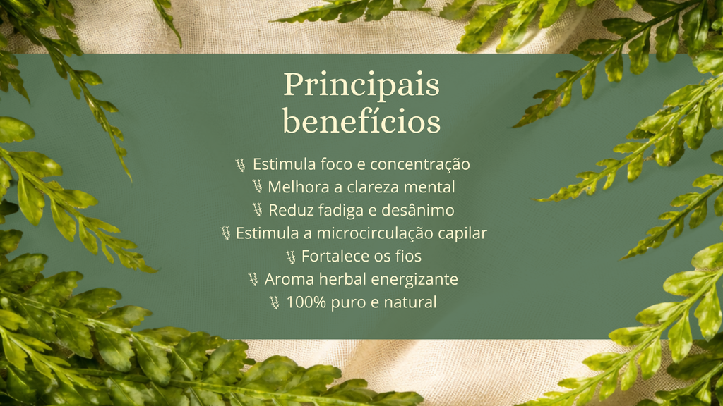 Óleo de Alecrim - 10ml