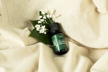 Óleo de Eucalipto Globulus - 10ml