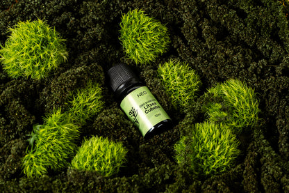 Óleo de Litsea Cubeba - 10ml